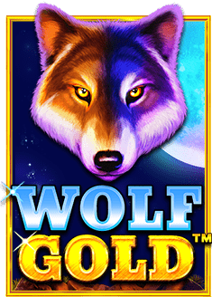 วิธีเล่นและใช้คิว อา ร์ โค้ดใน slotxo แบบง่ายๆ